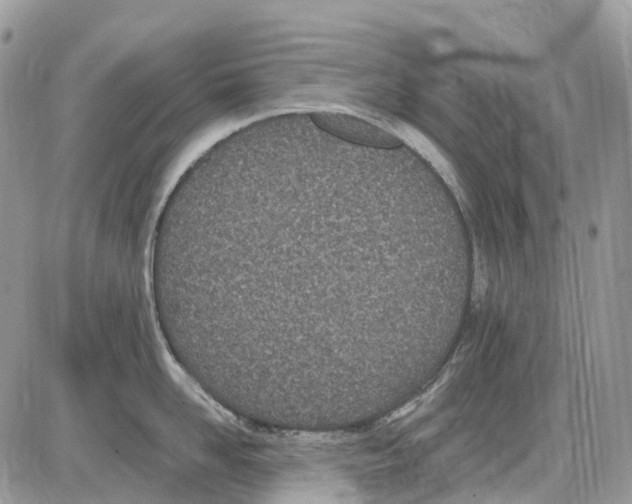 X0000086110958200704202302