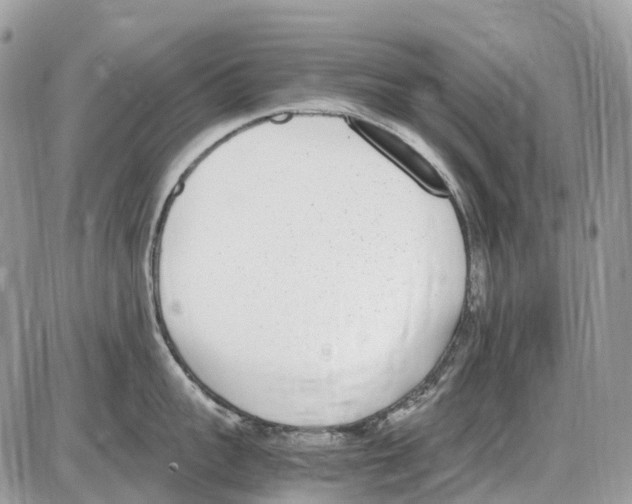 X0000086110959200704202302