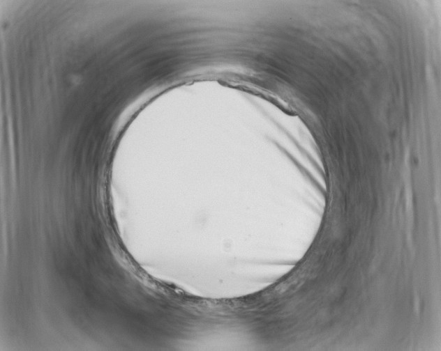 X0000086110960200704202302