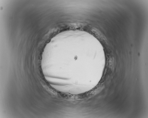 X0000086110961200704202302