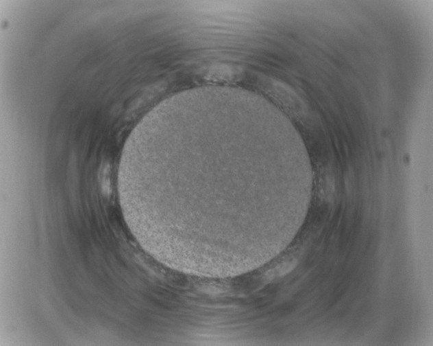 X0000086110962200704202302