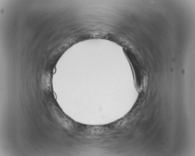 X0000086110963200704202302