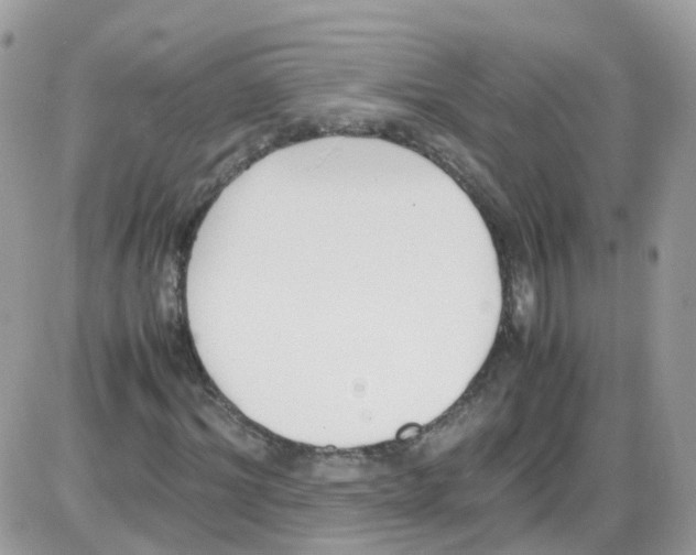 X0000086110964200704202302