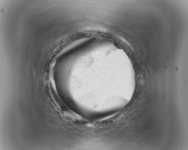 X0000086110965200704202302