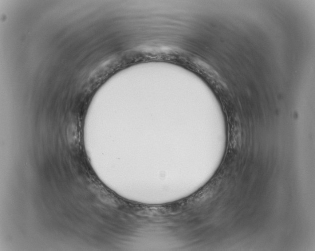 X0000086110966200704202302