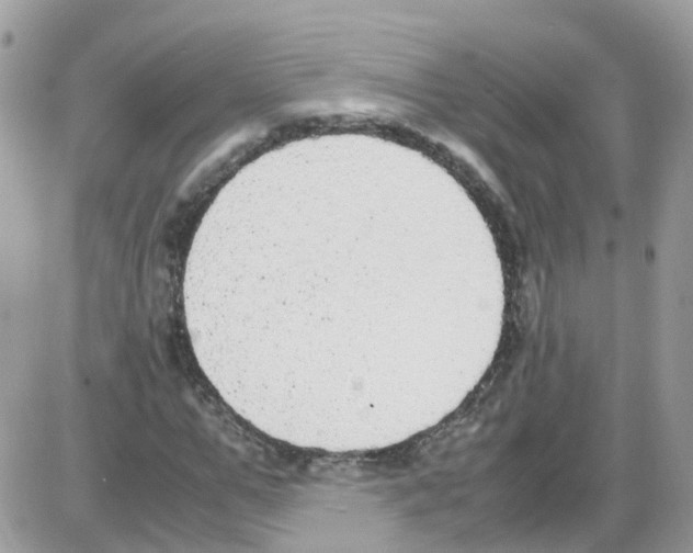 X0000086110967200704202302