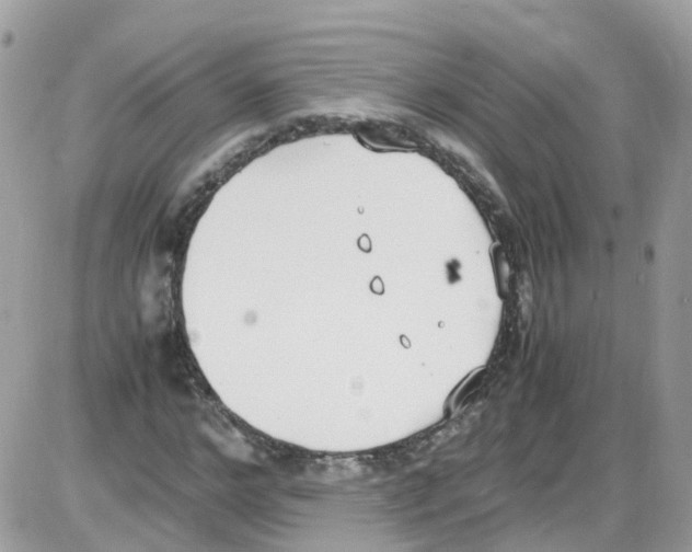 X0000086110968200704202302