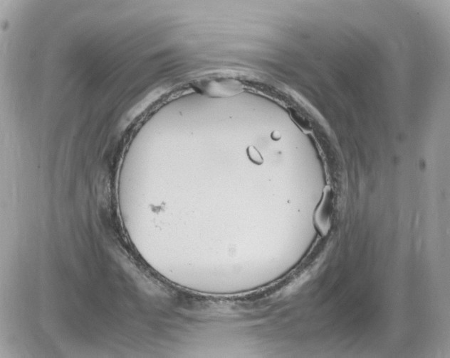 X0000086110969200704202302