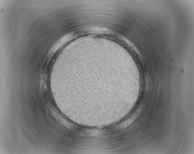 X0000086110970200704202302