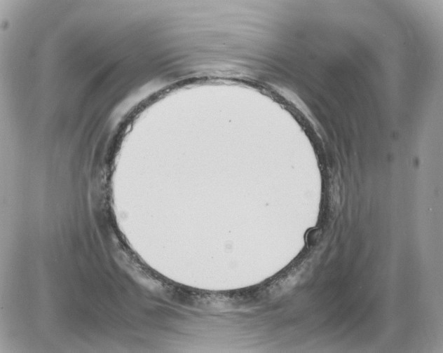 X0000086110971200704202302