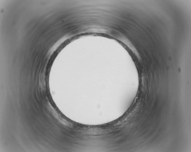 X0000086110972200704202302