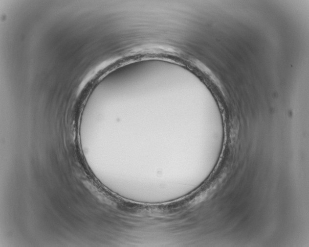 X0000086110973200704202302