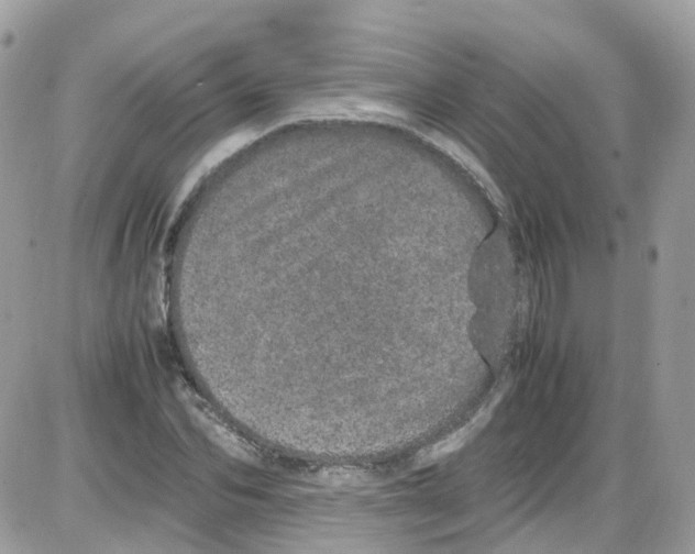 X0000086110974200704202302