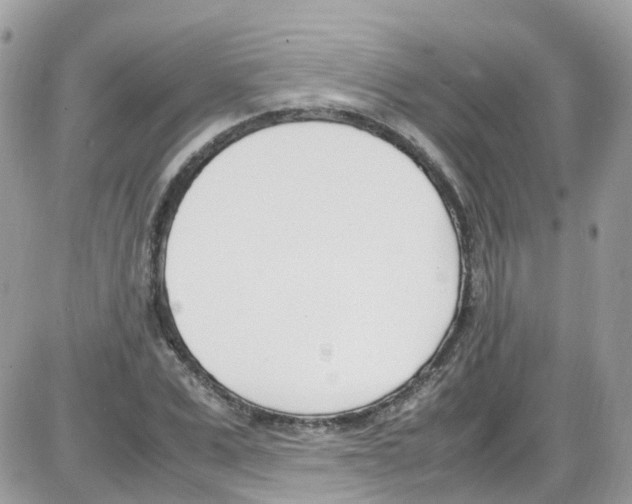 X0000086110975200704202301