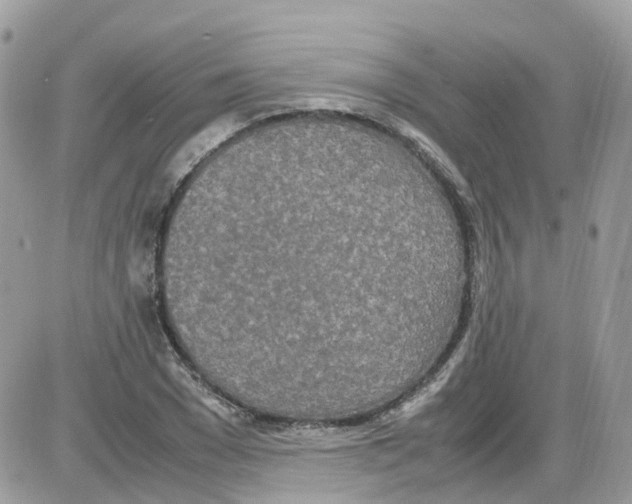 X0000086110977200704202301