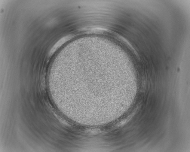 X0000086110978200704202301