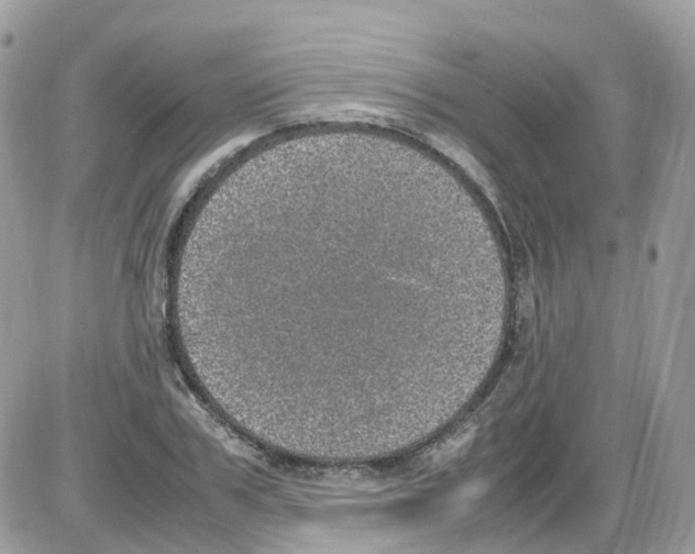 X0000086110979200704202301