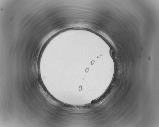 X0000086110980200704202301