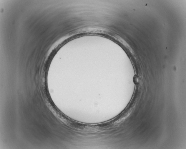 X0000086110981200704202301