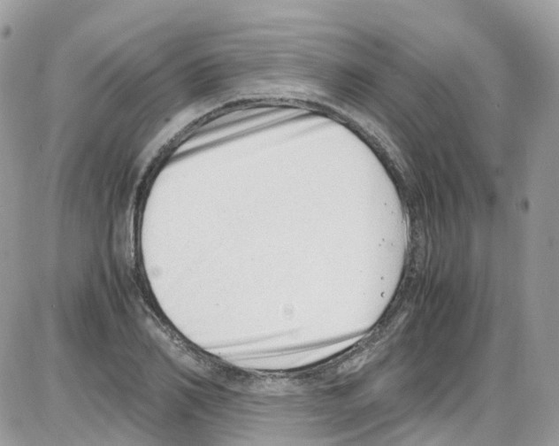 X0000086110982200704202301