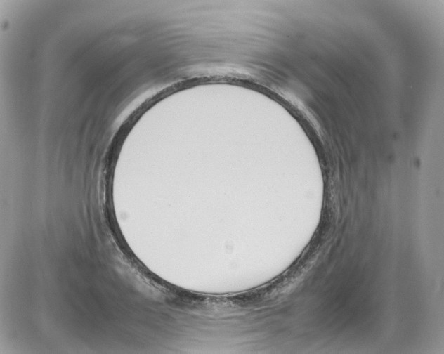 X0000086110983200704202301