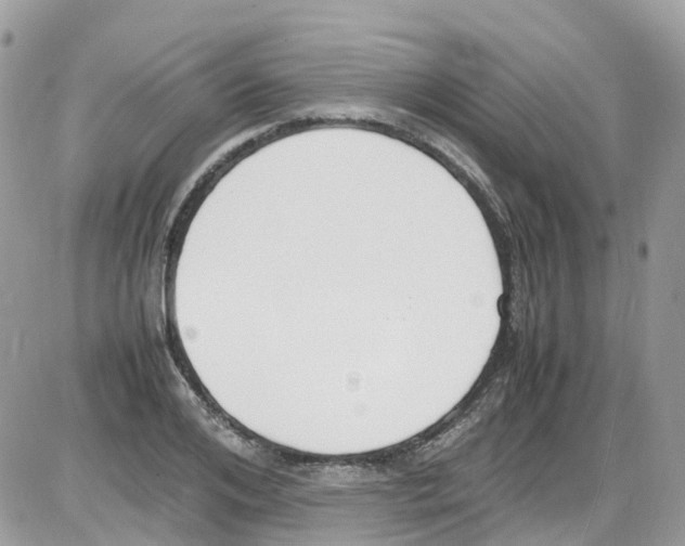 X0000086110984200704202301