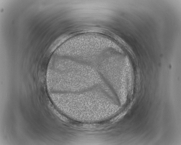 X0000086110985200704202301