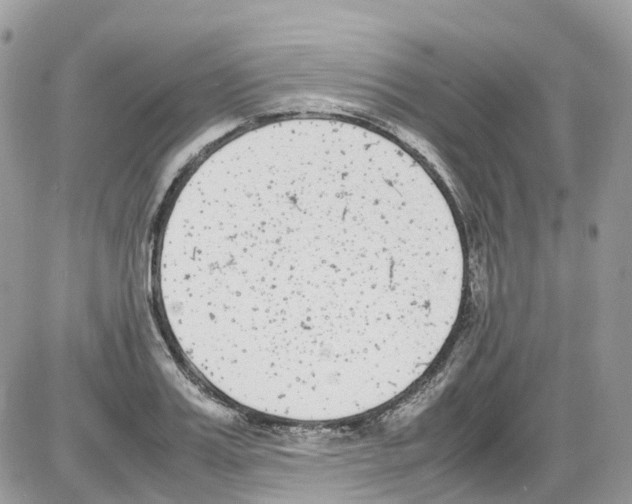 X0000086110987200704202301