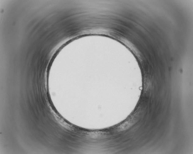 X0000086110988200704202301