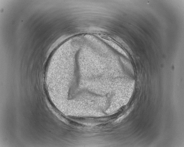 X0000086110989200704202301