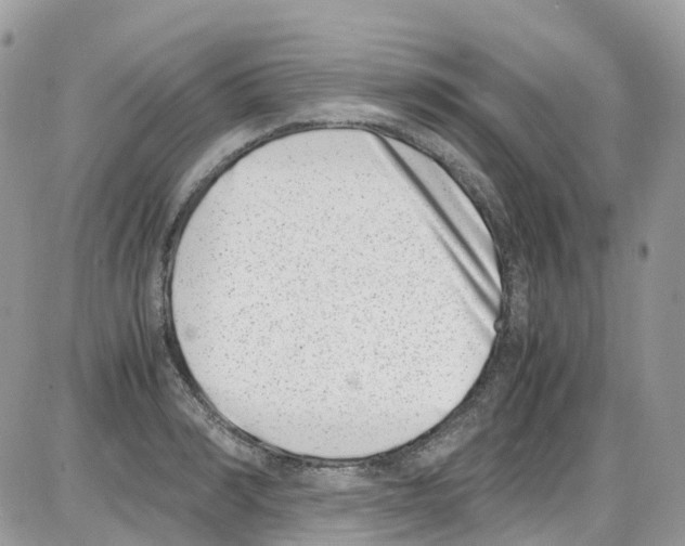 X0000086110990200704202301