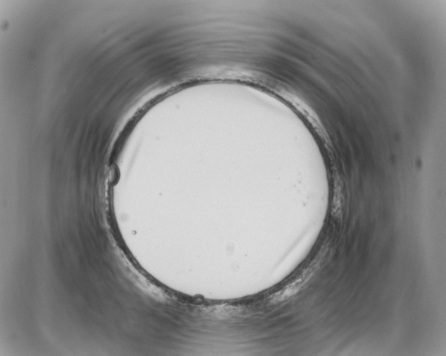 X0000086110992200704202301