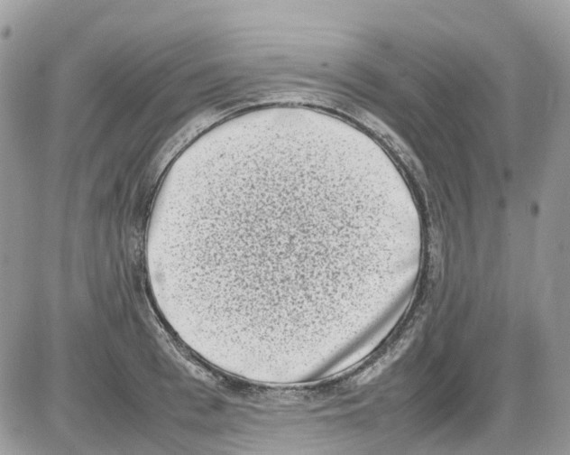 X0000086110993200704202301