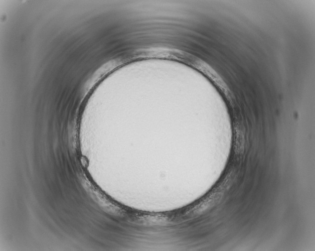 X0000086110994200704202301