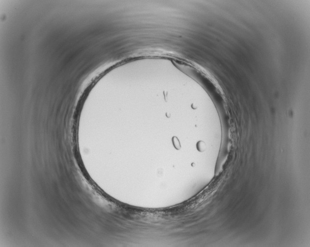 X0000086110995200704202301