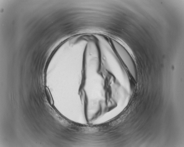 X0000086110996200704202301