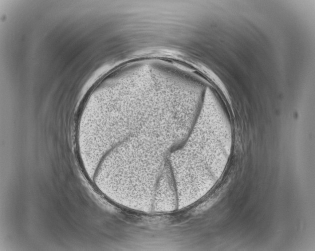 X0000086110997200704202301