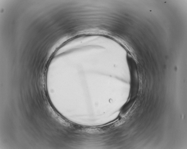 X0000086110998200704202301