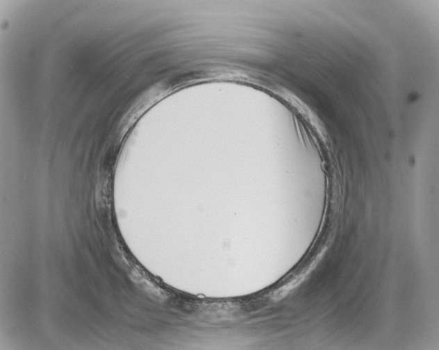 X0000086111001200704202301