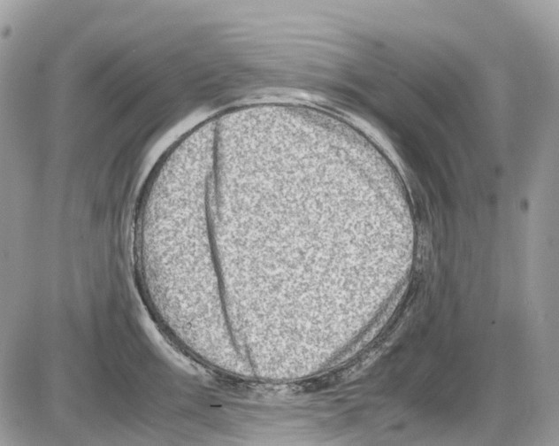 X0000086111003200704202301