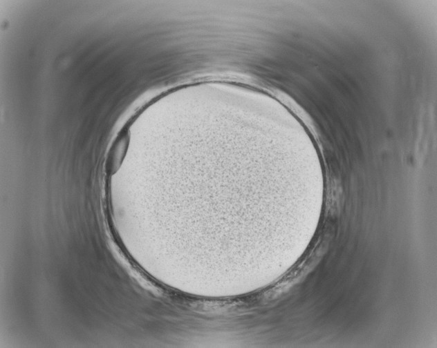 X0000086111005200704202301