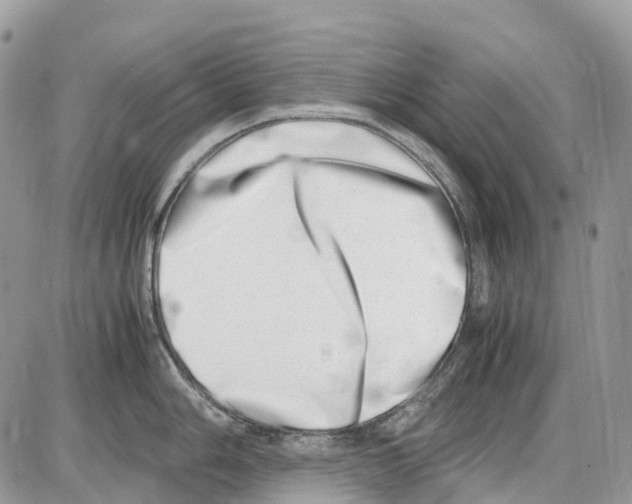 X0000086111006200704202301