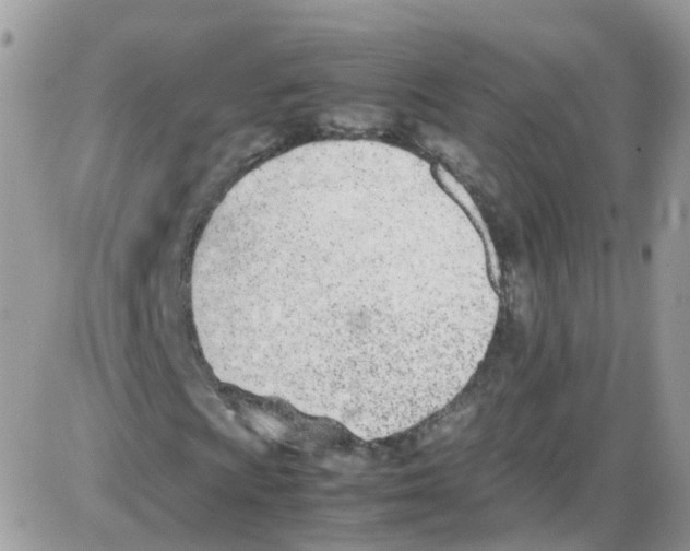 X0000086111009200704202300