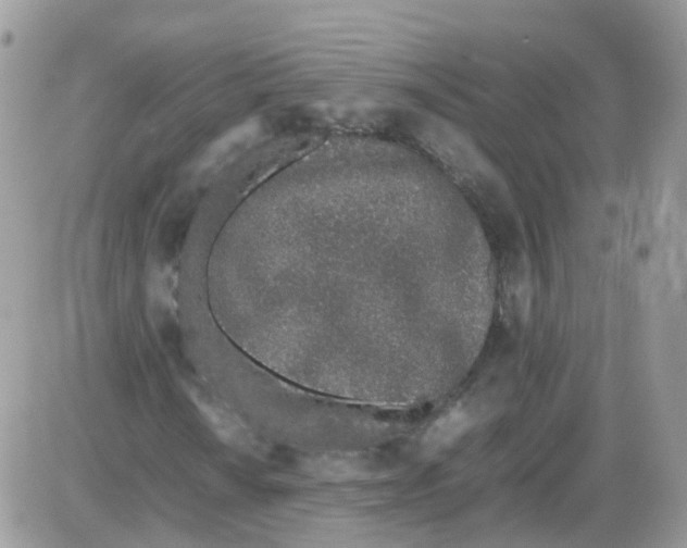 X0000086111010200704202300