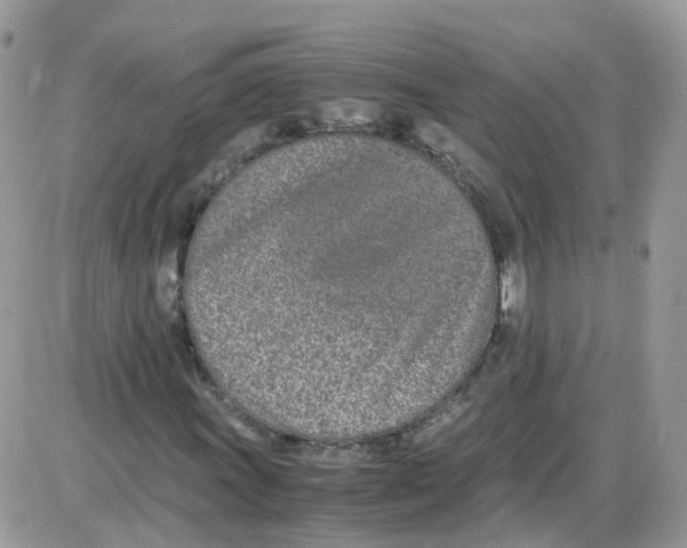 X0000086111011200704202300