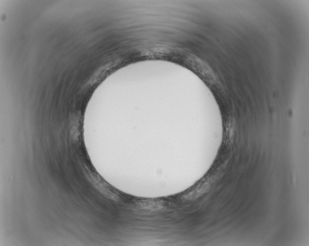 X0000086111012200704202300