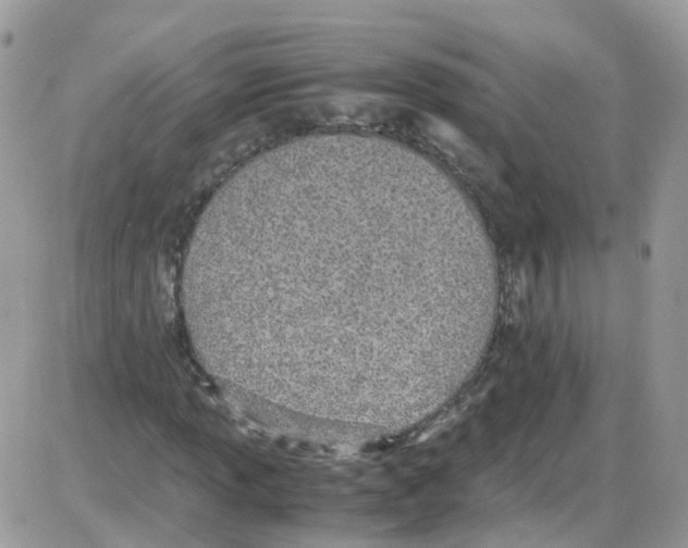 X0000086111013200704202300