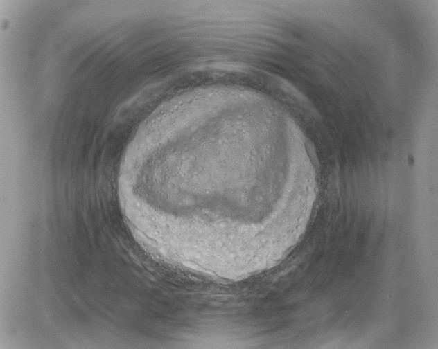 X0000086111014200704202300