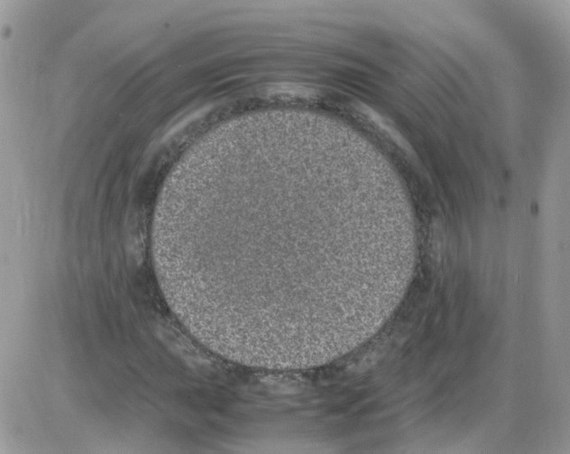 X0000086111015200704202300