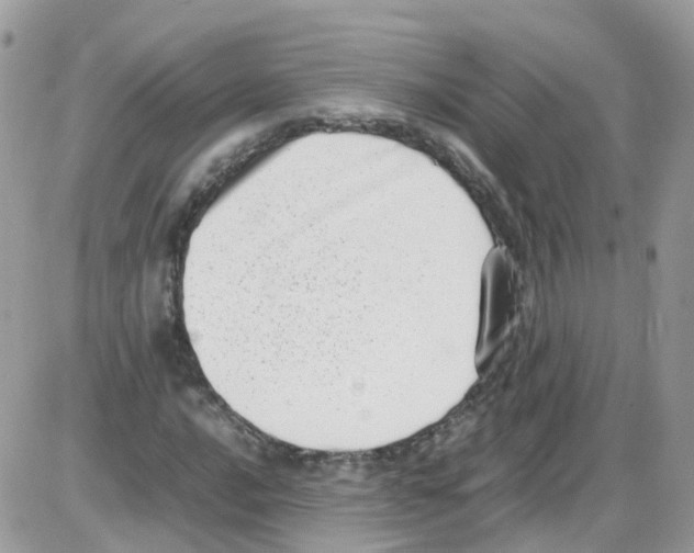 X0000086111016200704202300